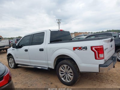 2015 FORD F-150 14