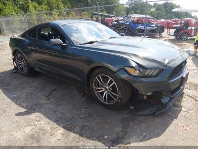FORD MUSTANG