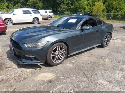 FORD MUSTANG