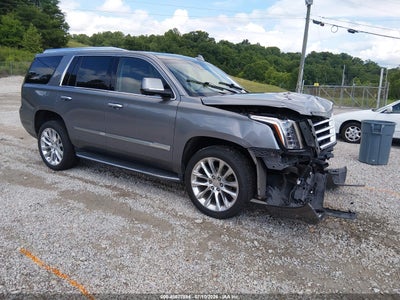 1GYS4BKJ3LR254908 CADILLAC ESCALADE Photo 1