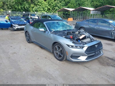 FORD MUSTANG