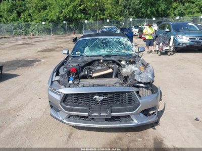 FORD MUSTANG