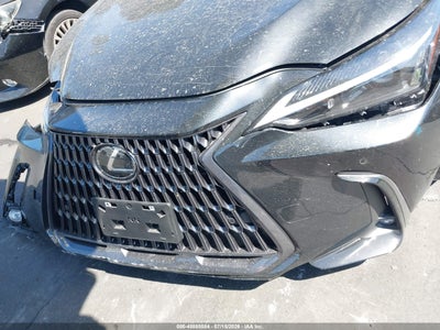 LEXUS NX 250