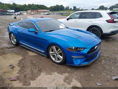 2019 Ford Mustang