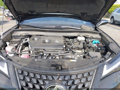 LEXUS UX 300H