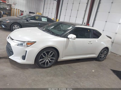 SCION TC