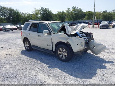 2010 Ford Escape Hybrid