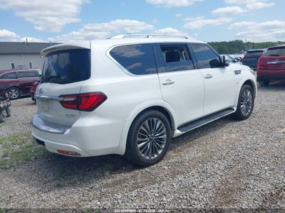 INFINITI QX80
