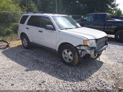 2010 Ford Escape