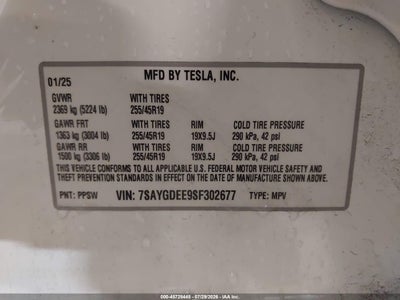 TESLA MODEL Y