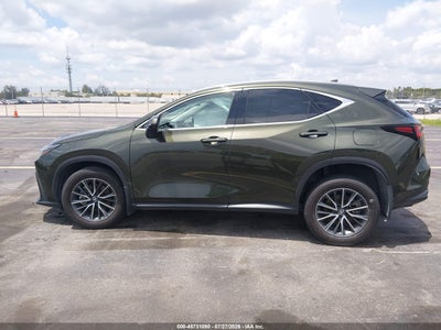LEXUS NX 250