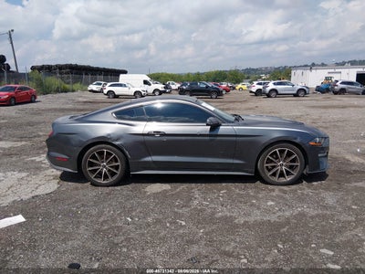 FORD MUSTANG