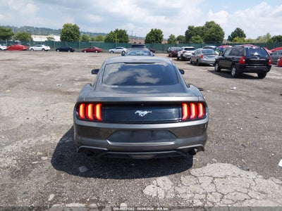 FORD MUSTANG