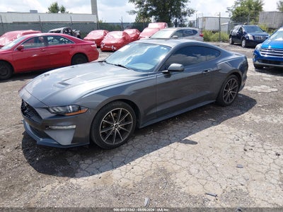 FORD MUSTANG