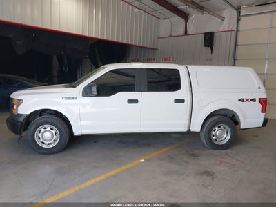 2017 FORD F-150 17