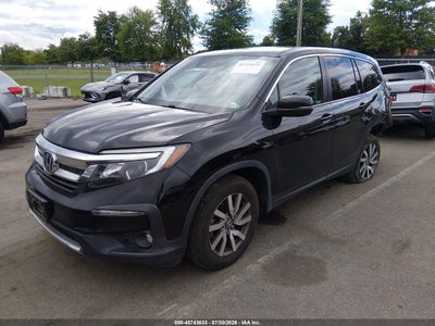HONDA PILOT