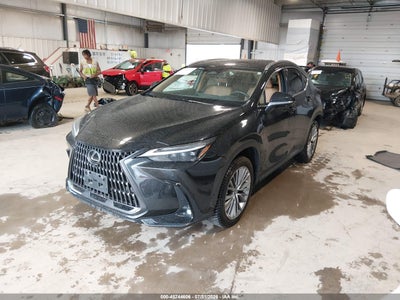 LEXUS NX 350H