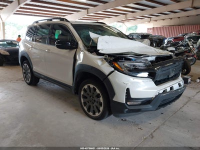 HONDA PASSPORT