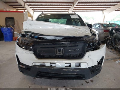 HONDA PASSPORT