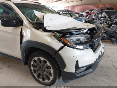 HONDA PASSPORT