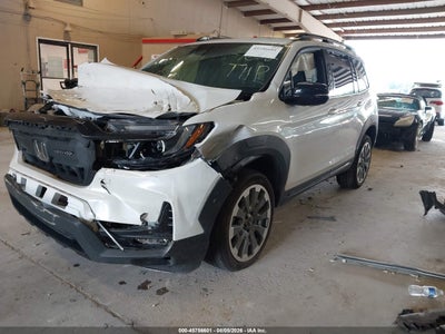 HONDA PASSPORT