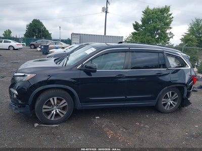 HONDA PILOT