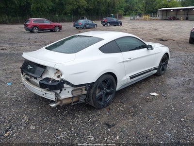 FORD MUSTANG