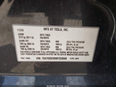 TESLA MODEL Y
