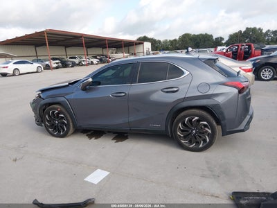 LEXUS UX 250H