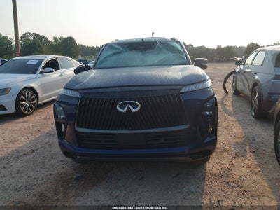 INFINITI QX80