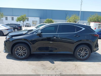 LEXUS NX 250