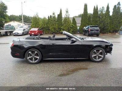 FORD MUSTANG