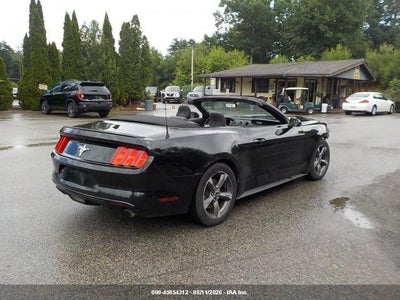 FORD MUSTANG