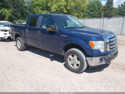 2010 Ford F-150