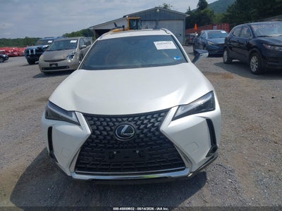 LEXUS UX 250H