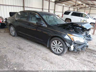 2011 Honda Accord