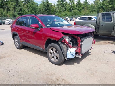 2023 TOYOTA RAV4 RAV4