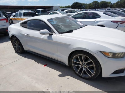 FORD MUSTANG
