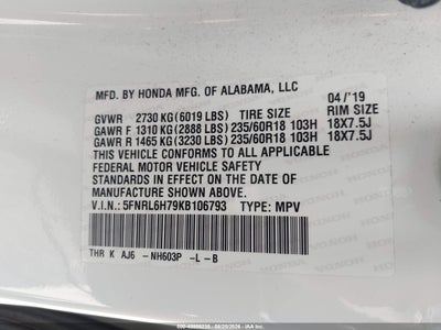 HONDA ODYSSEY