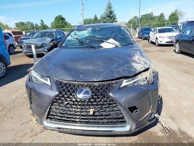 LEXUS UX 250H