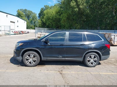 HONDA PILOT