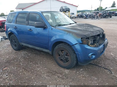 2010 Ford Escape