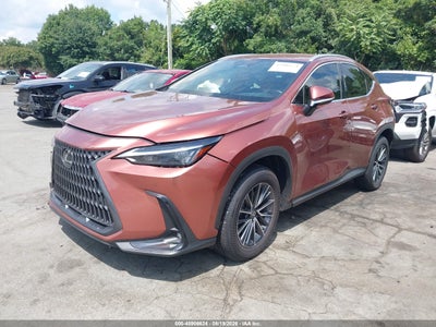 LEXUS NX 250