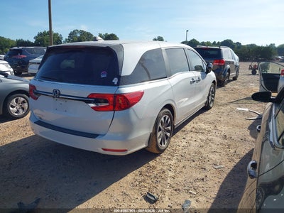 HONDA ODYSSEY