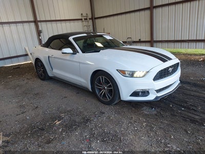 FORD MUSTANG