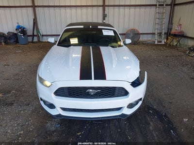 FORD MUSTANG