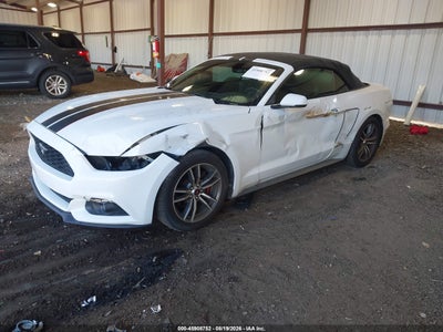 FORD MUSTANG