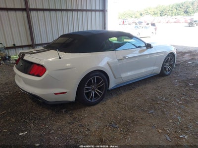 FORD MUSTANG
