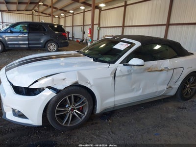 FORD MUSTANG