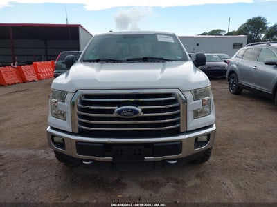 2015 FORD F-150 12